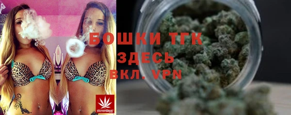 прущие грибы Абинск
