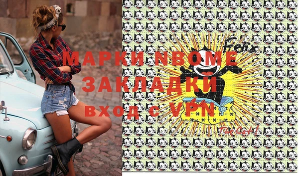 прущие грибы Абинск