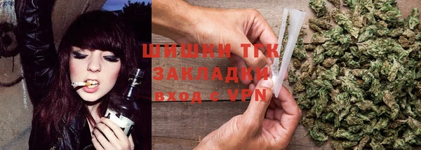 прущие грибы Абинск