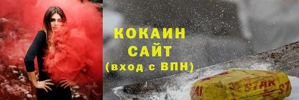 прущие грибы Абинск