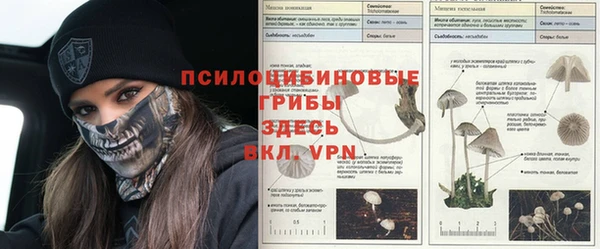 ALPHA PVP Покачи